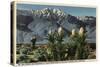 California - View of Mt. San Jacinto, Yucca Mohavensis Cactus-Lantern Press-Stretched Canvas