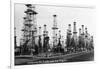 California - View of Oil Fields near Los Angeles-Lantern Press-Framed Art Print