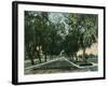 California - View of Pepper Trees Along Road-Lantern Press-Framed Art Print