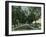 California - View of Pepper Trees Along Road-Lantern Press-Framed Art Print