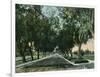 California - View of Pepper Trees Along Road-Lantern Press-Framed Art Print