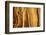 California, White Mountains. Patterns in Bristlecone Pine Wood-Don Paulson-Framed Photographic Print