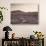 California, Wildflowers on the Dumont Dunes in the Mojave Desert-Christopher Talbot Frank-Photographic Print displayed on a wall