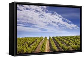 California Wine Country.-Jon Hicks-Framed Stretched Canvas