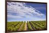 California Wine Country.-Jon Hicks-Framed Photographic Print