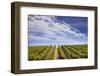 California Wine Country.-Jon Hicks-Framed Photographic Print