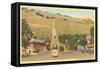 California Wine Country-null-Framed Stretched Canvas