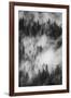 California. Yosemite National Park. Black and White Image of Pine Forests with Swirling Mist-Judith Zimmerman-Framed Photographic Print