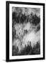 California. Yosemite National Park. Black and White Image of Pine Forests with Swirling Mist-Judith Zimmerman-Framed Photographic Print