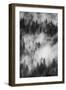 California. Yosemite National Park. Black and White Image of Pine Forests with Swirling Mist-Judith Zimmerman-Framed Photographic Print