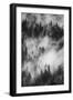 California. Yosemite National Park. Black and White Image of Pine Forests with Swirling Mist-Judith Zimmerman-Framed Photographic Print