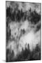 California. Yosemite National Park. Black and White Image of Pine Forests with Swirling Mist-Judith Zimmerman-Mounted Photographic Print