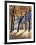 California, Yosemite National Park, California Black Oak Trees in a Meadow-Christopher Talbot Frank-Framed Photographic Print