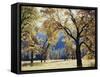 California, Yosemite National Park, California Black Oak Trees in a Meadow-Christopher Talbot Frank-Framed Stretched Canvas