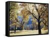 California, Yosemite National Park, California Black Oak Trees in a Meadow-Christopher Talbot Frank-Framed Stretched Canvas