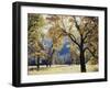 California, Yosemite National Park, California Black Oak Trees in a Meadow-Christopher Talbot Frank-Framed Photographic Print