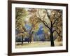 California, Yosemite National Park, California Black Oak Trees in a Meadow-Christopher Talbot Frank-Framed Photographic Print