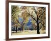 California, Yosemite National Park, California Black Oak Trees in a Meadow-Christopher Talbot Frank-Framed Photographic Print