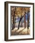 California, Yosemite National Park, California Black Oak Trees in a Meadow-Christopher Talbot Frank-Framed Photographic Print