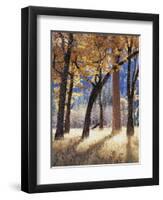 California, Yosemite National Park, California Black Oak Trees in a Meadow-Christopher Talbot Frank-Framed Photographic Print