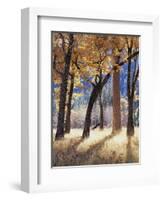 California, Yosemite National Park, California Black Oak Trees in a Meadow-Christopher Talbot Frank-Framed Photographic Print