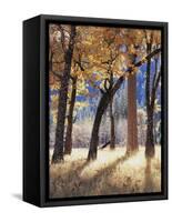 California, Yosemite National Park, California Black Oak Trees in a Meadow-Christopher Talbot Frank-Framed Stretched Canvas