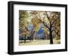 California, Yosemite National Park, California Black Oak Trees in a Meadow-Christopher Talbot Frank-Framed Premium Photographic Print