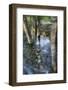 California. Yosemite National Park. Rocks and Trees in Spring Run-Off Along the Merced River-Judith Zimmerman-Framed Photographic Print