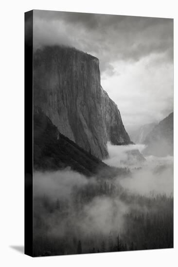 California. Yosemite National Park-Judith Zimmerman-Stretched Canvas