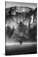 California. Yosemite National Park-Judith Zimmerman-Stretched Canvas