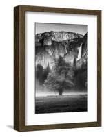 California. Yosemite National Park-Judith Zimmerman-Framed Photographic Print