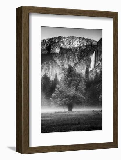 California. Yosemite National Park-Judith Zimmerman-Framed Photographic Print