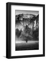 California. Yosemite National Park-Judith Zimmerman-Framed Photographic Print