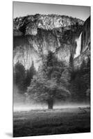 California. Yosemite National Park-Judith Zimmerman-Mounted Premium Photographic Print