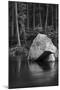 California. Yosemite National Park-Judith Zimmerman-Mounted Premium Photographic Print