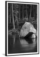 California. Yosemite National Park-Judith Zimmerman-Framed Premium Photographic Print