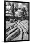 California, Yosemite National Park-Judith Zimmerman-Framed Photographic Print