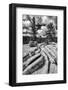 California, Yosemite National Park-Judith Zimmerman-Framed Photographic Print