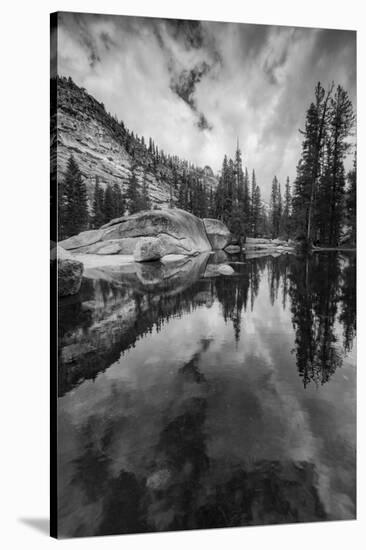 California, Yosemite National Park-Judith Zimmerman-Stretched Canvas