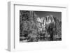 California, Yosemite NP. Yosemite Falls Reflects in the Merced River-Dennis Flaherty-Framed Photographic Print