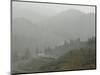 California Zephr-null-Mounted Photographic Print