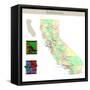 California-IndianSummer-Framed Stretched Canvas