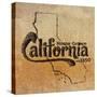 California-SD Graphics Studio-Stretched Canvas