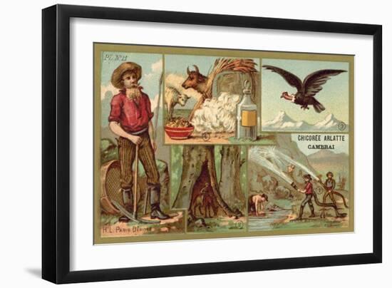 California-null-Framed Giclee Print