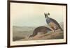 Californian Partridge, 1838-John James Audubon-Framed Giclee Print