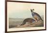 Californian Partridge, 1838-John James Audubon-Framed Giclee Print