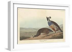 Californian Partridge, 1838-John James Audubon-Framed Giclee Print