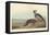 Californian Partridge, 1838-John James Audubon-Framed Stretched Canvas