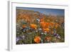 Californian Poppy and Violet Davy Gilia-null-Framed Photographic Print