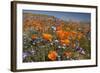 Californian Poppy and Violet Davy Gilia-null-Framed Photographic Print